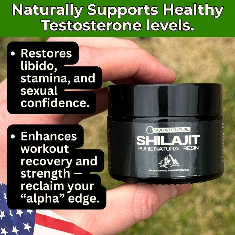Pure Shilajit: Nature’s Performance Enhancer