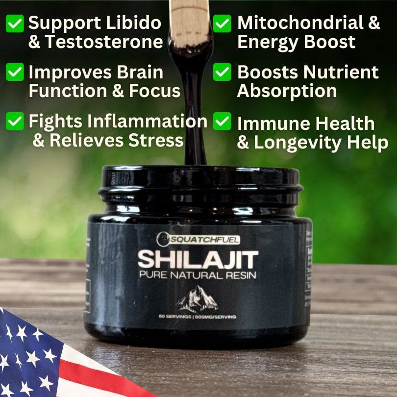 Pure Shilajit: Nature’s Performance Enhancer