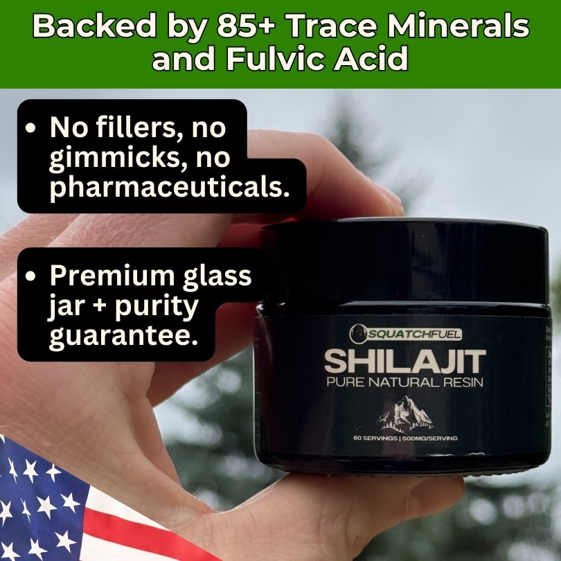 Pure Shilajit: Nature’s Performance Enhancer