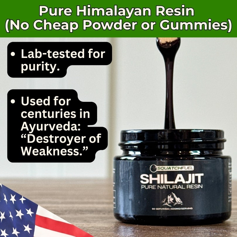 Pure Shilajit: Nature’s Performance Enhancer
